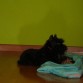 Aqui tenia 5 meses y medio